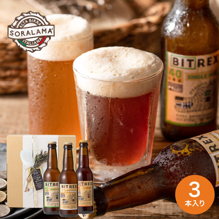 送料無料 （酒類）イタリア クラフトビール Soralama IPA 3種飲み比べセット（のし、包装、メッセージカード不可）