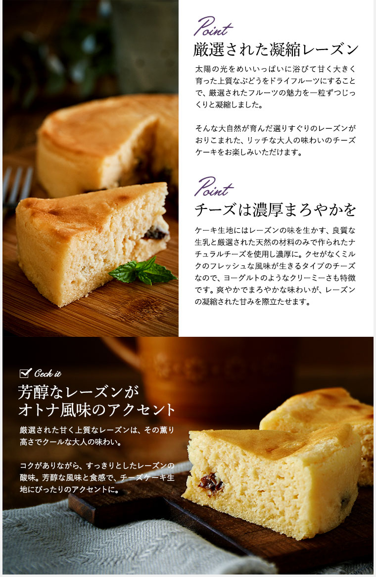 ホシフルーツ 大人のチーズケーキ(HFOC-001)| 『内祝い』『出産内祝い』