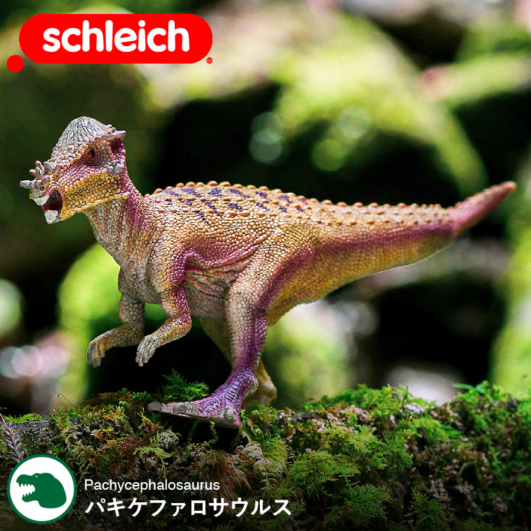 シュライヒ Schleich 15024 パキケファロサウルス Dinosaurs